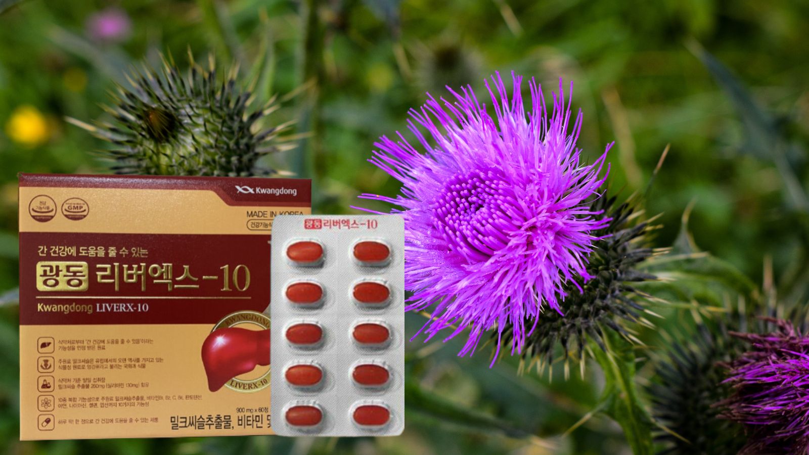 Bổ gan Kwangdong LiverX-10