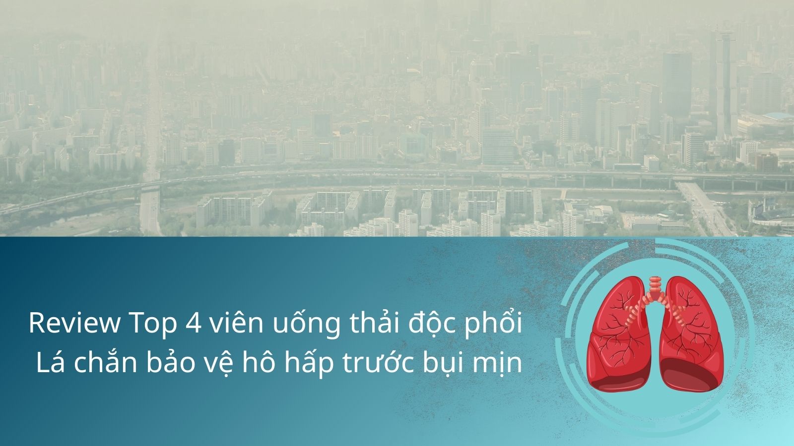 Review Top 4 viên uống thải độc phổi: Lá chắn bảo vệ hô hấp trước bụi mịn