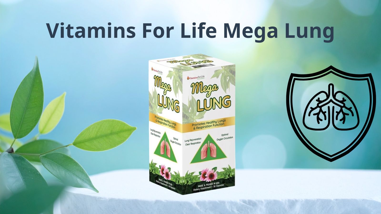 Sản phẩm hỗ trợ thải độc phổi Mega Lung