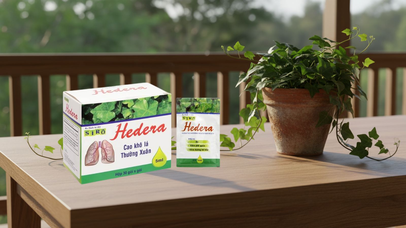 Siro cao l&aacute; thường xu&acirc;n Hedera Tipharco