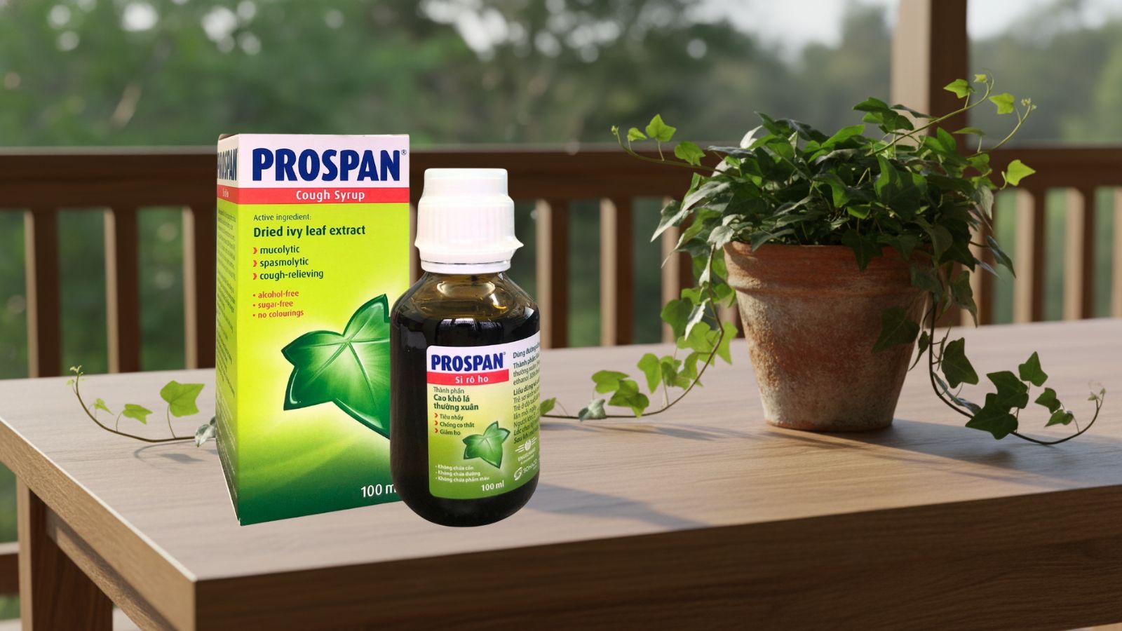 Siro cao l&aacute; thường xu&acirc;n Prospan - lựa chọn ưu &aacute;i cho gia đ&igrave;nh