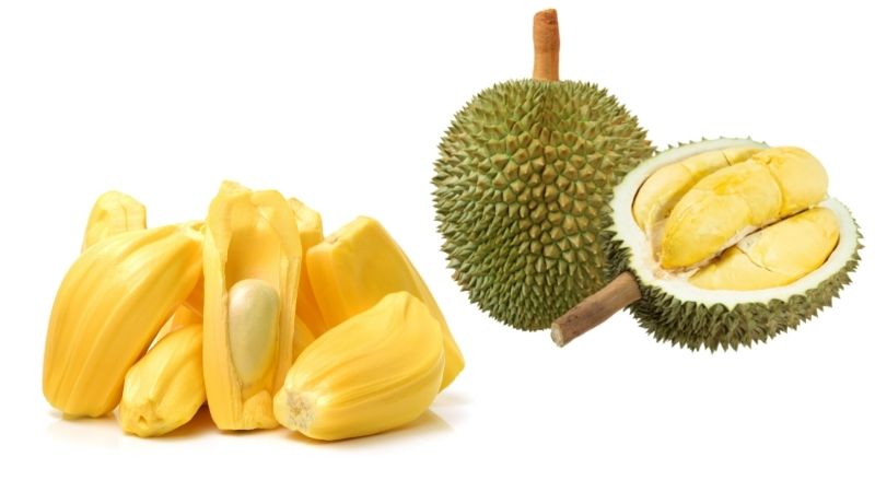 Những loại trái cây người tiểu đường không nên ăn |