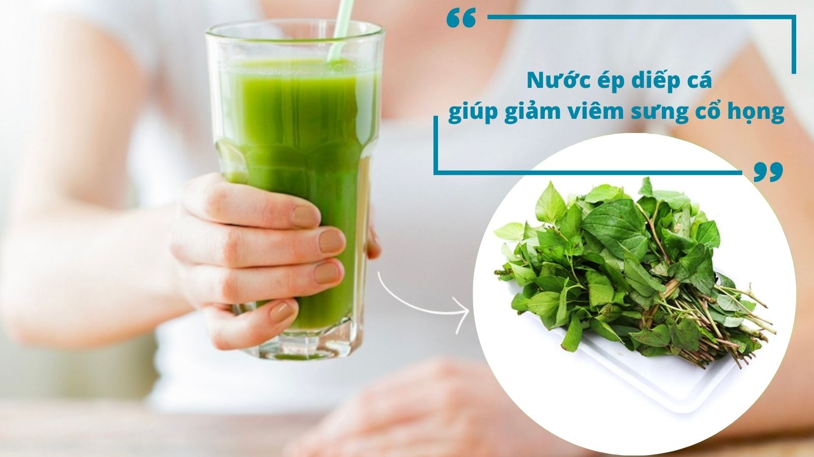 Uống nước ép lá diếp cá giúp làm dịu cổ họng và làm giảm sưng đau nhanh chóng