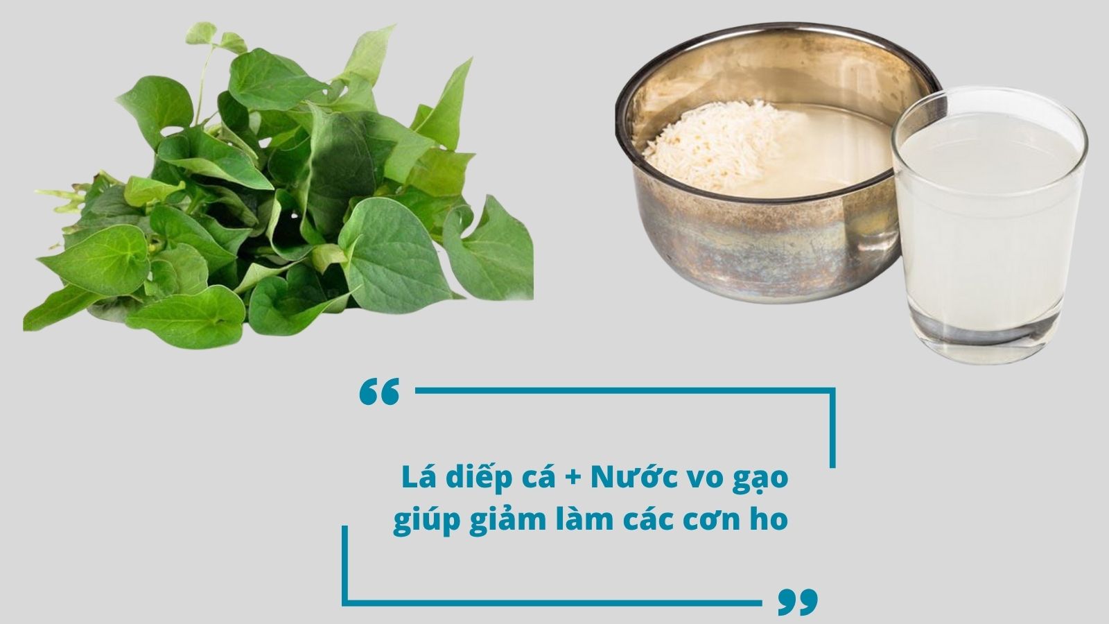 Lá diếp cá kết hợp cùng nước vo gạo giúp thanh lọc, giải độc, hỗ trợ giảm viêm