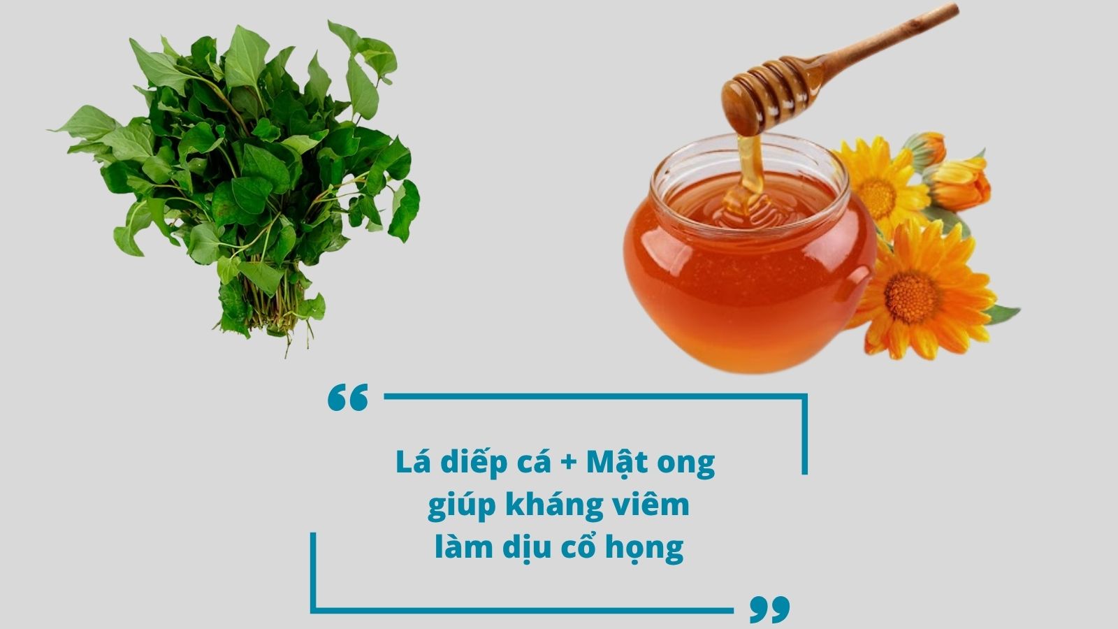 Sự kết hợp giữa lá diếp cá và mật ong giúp tăng sức đề kháng, giảm đau rát họng