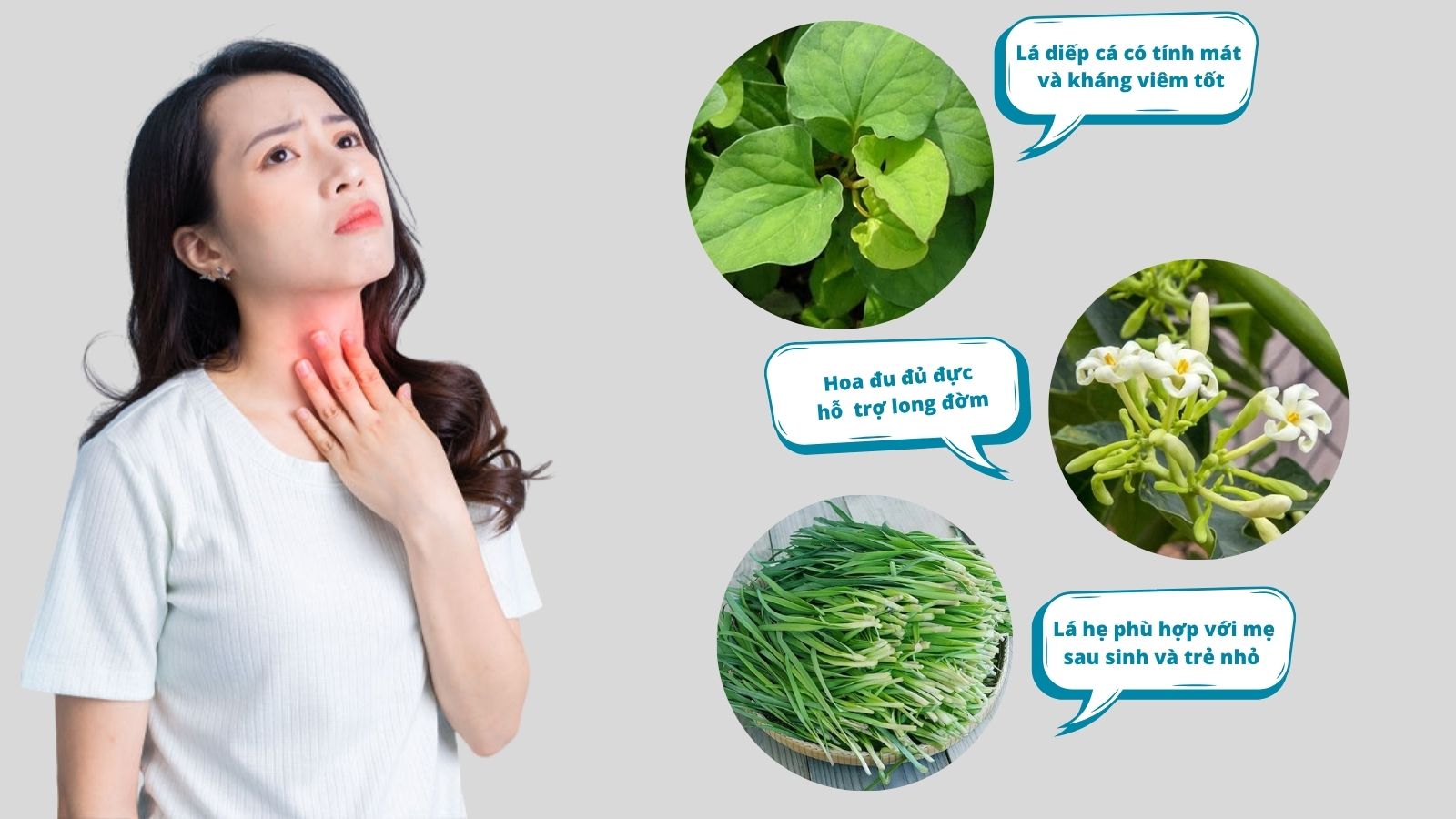 Mỗi loại thảo dược đều có ưu điểm riêng trong việc hỗ trợ điều trị viêm họng   