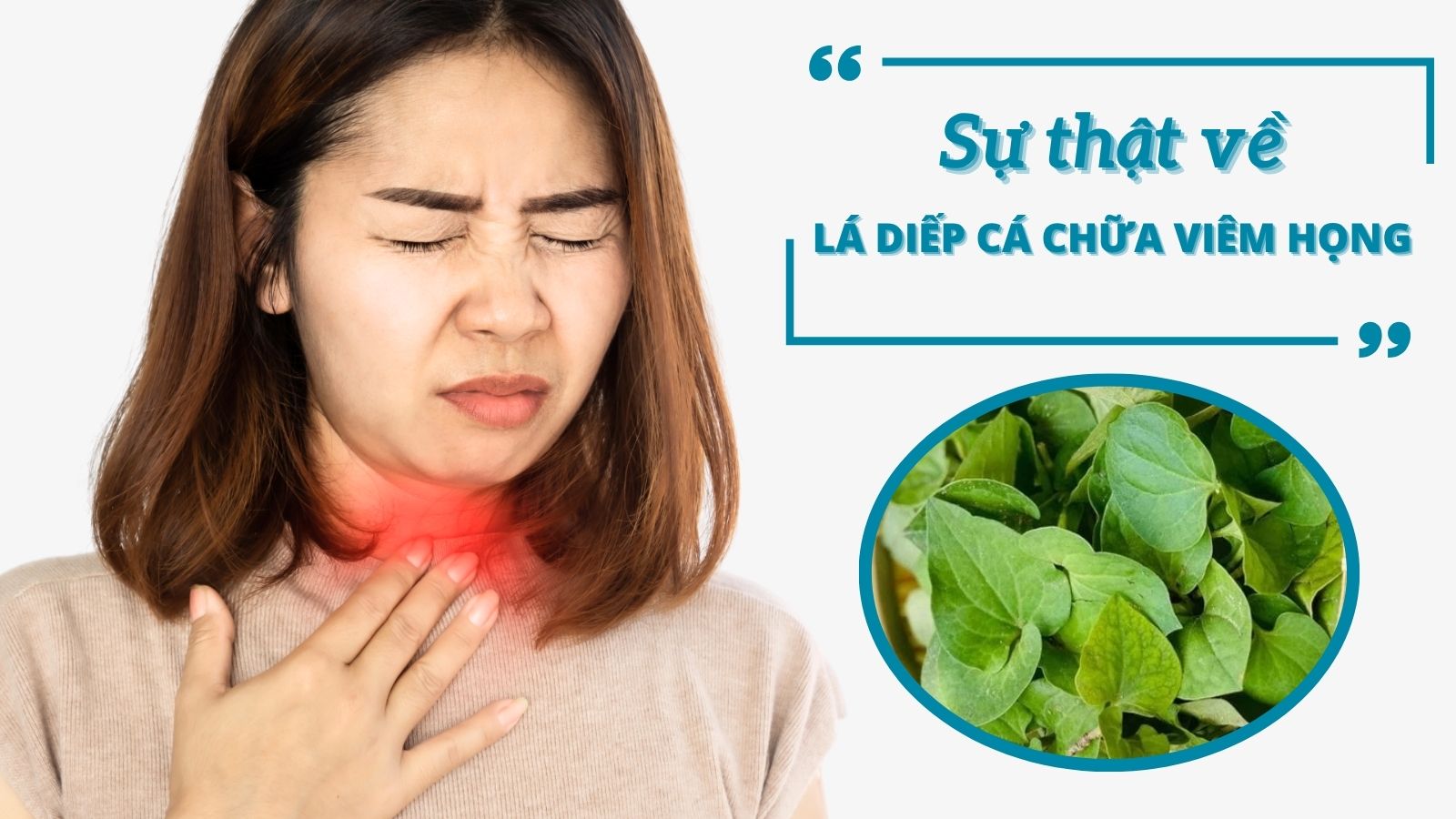 Sự thật về lá diếp cá chữa viêm họng mà ít ai biết