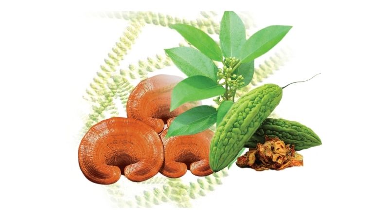 Nên kết hợp sử dụng lá xoài với các loại thảo dược khác để tăng cường tác dụng điều trị.