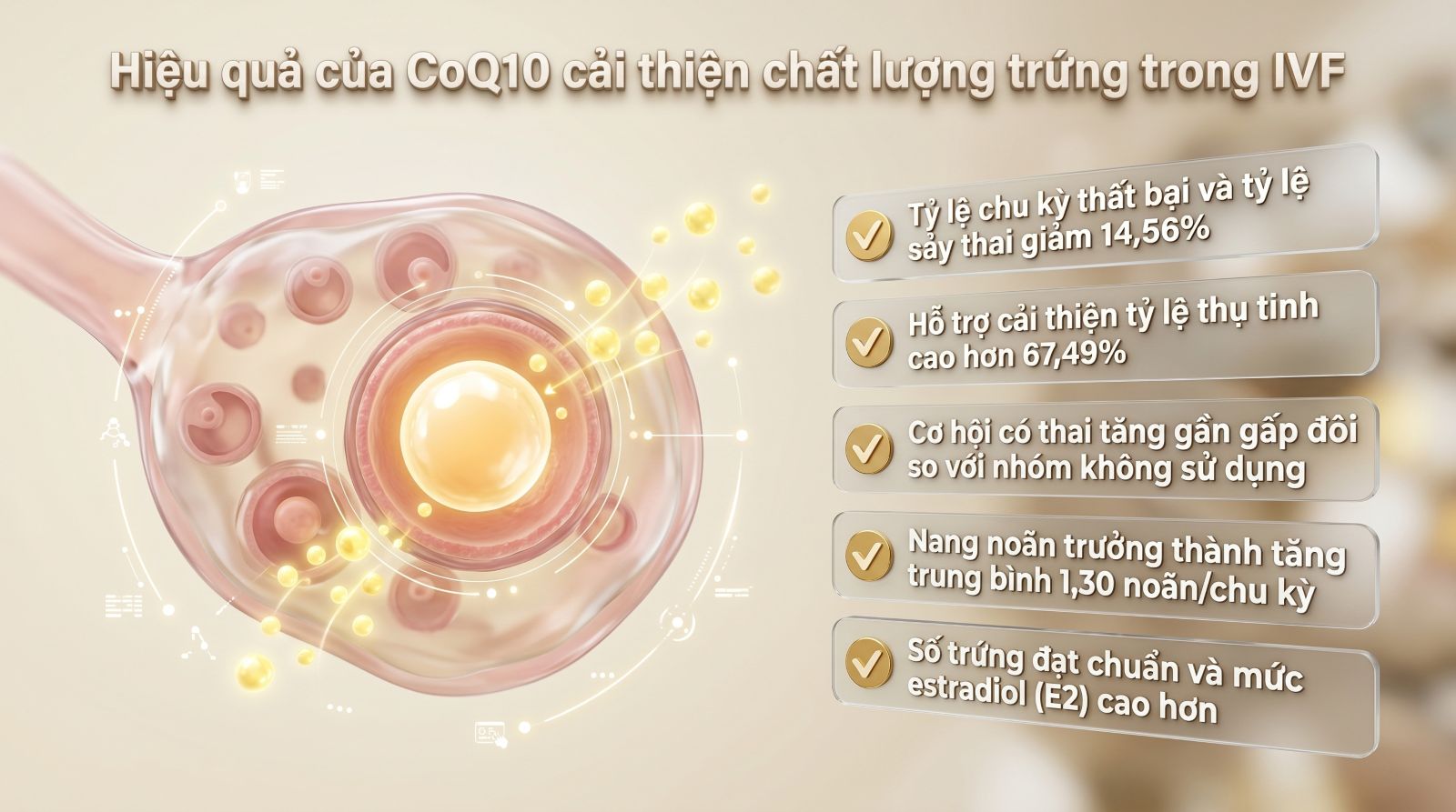 Nhiều nghi&ecirc;n cứu chứng minh t&aacute;c động của CoQ10 trong việc hỗ trợ tăng chất lượng trứng v&agrave; cải thiện c&aacute;c chỉ số cho phụ nữ l&agrave;m IVF