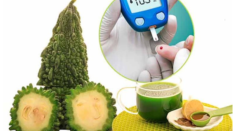 Khổ qua là cây thuốc nam chữa đái tháo đường đã có từ lâu