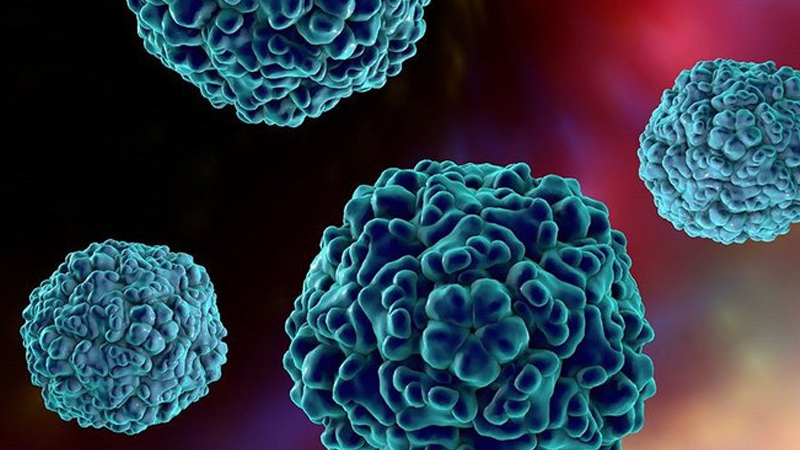 Tiếp xúc với vi rút Coxsackie làm tăng nguy cơ tiểu đường tuýp 1