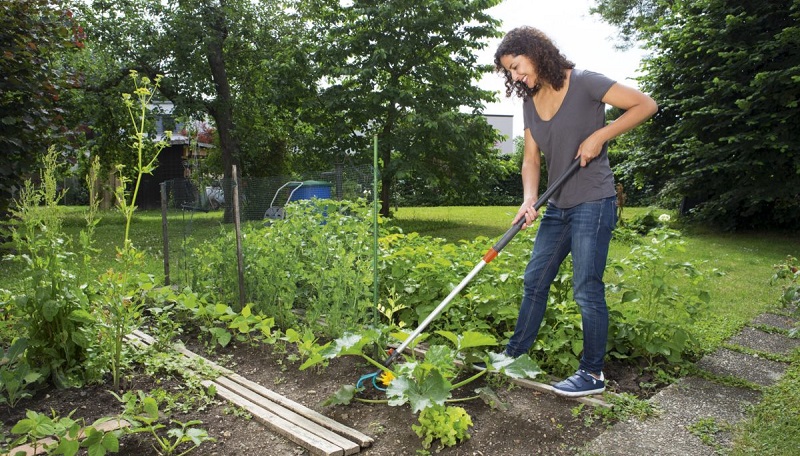 Làm vườn hoạt động thể dục cho người tiểu đường