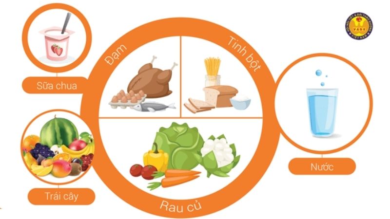 Nguyên tắc đĩa ăn “1 phần 4”.