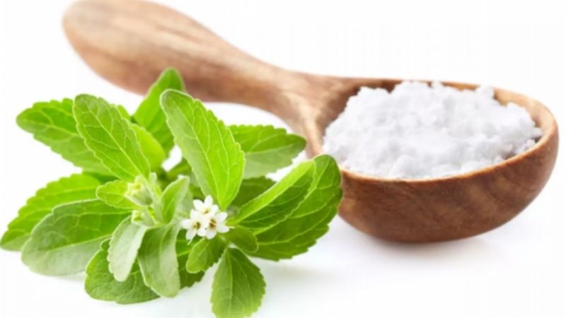 Cỏ ngọt Stevia là thảo dược có vị ngọt tự nhiên.