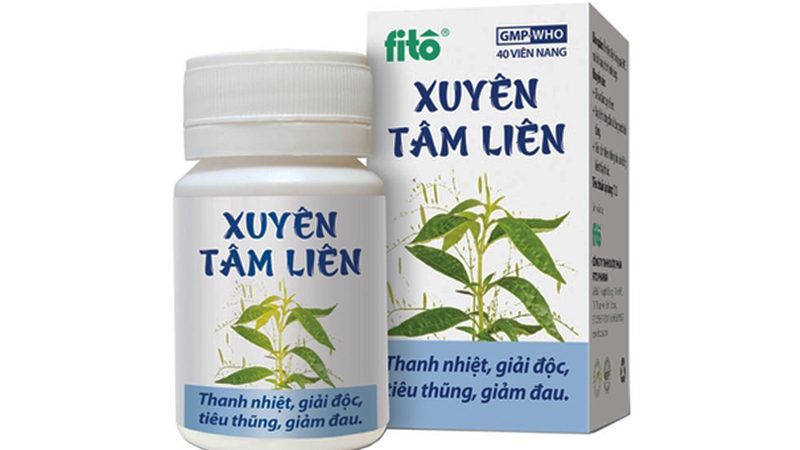 Fito Xuyên tâm liên