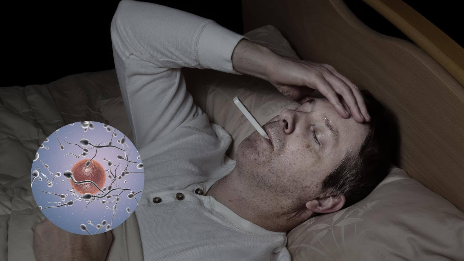 Nhiệt độ cơ thể quá cao ảnh hưởng lớn đến số lượng tinh trùng 