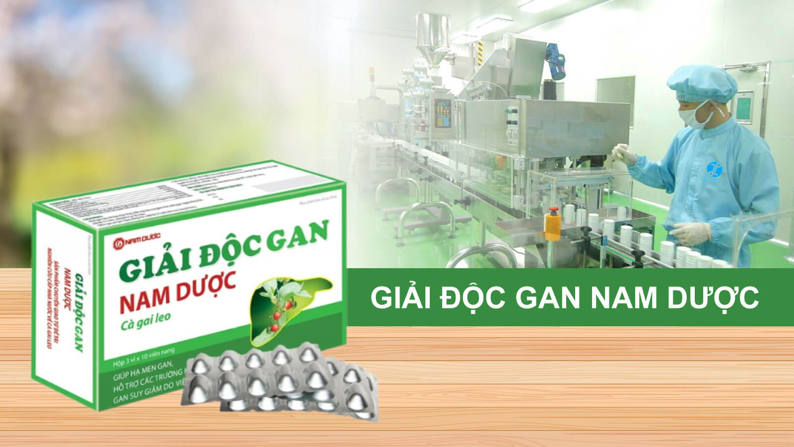 Thuốc Cà gai leo bổ gan của Công ty Cổ phần Nam Dược