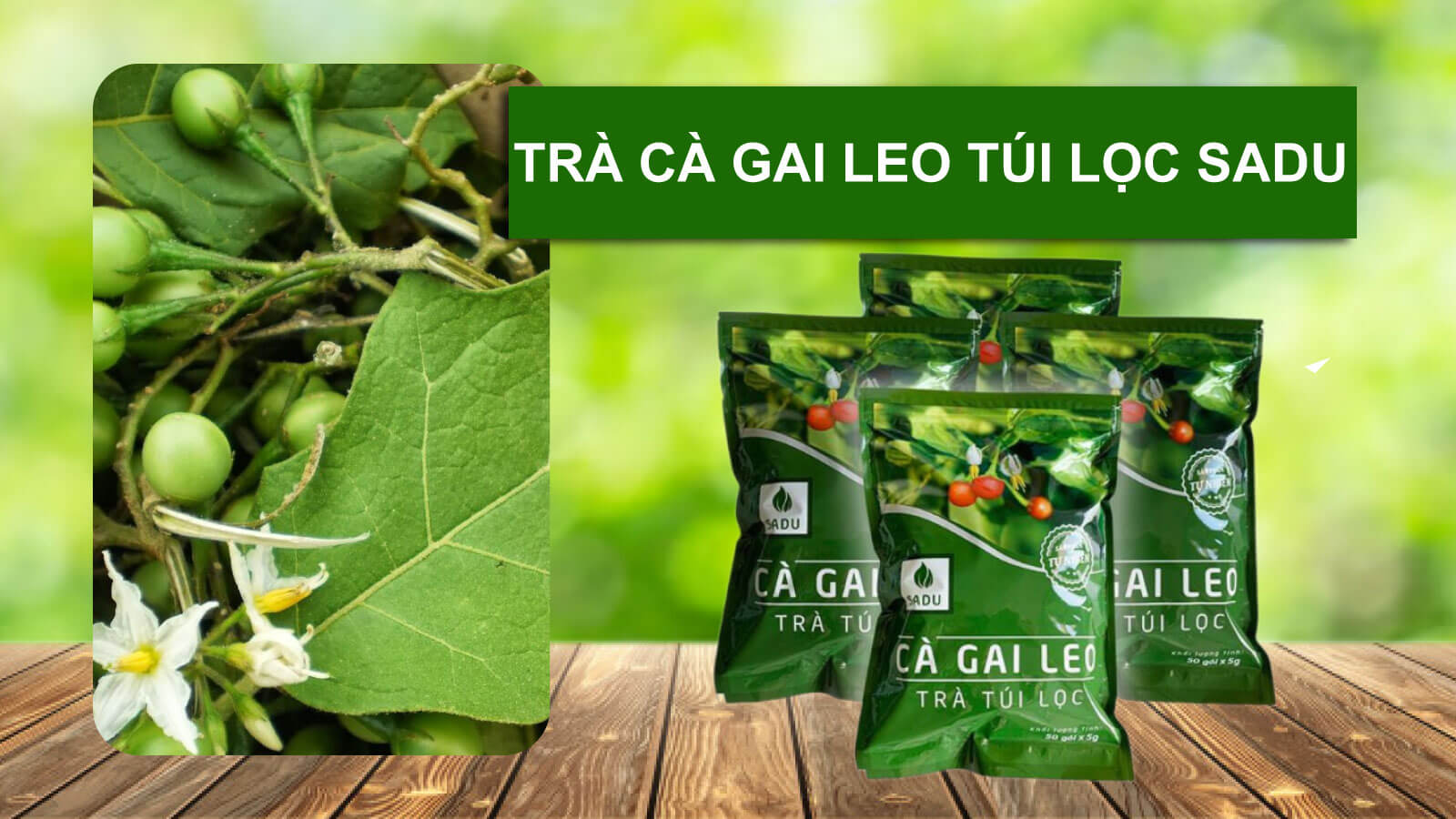 Trà Cà gai leo túi lọc Sadu