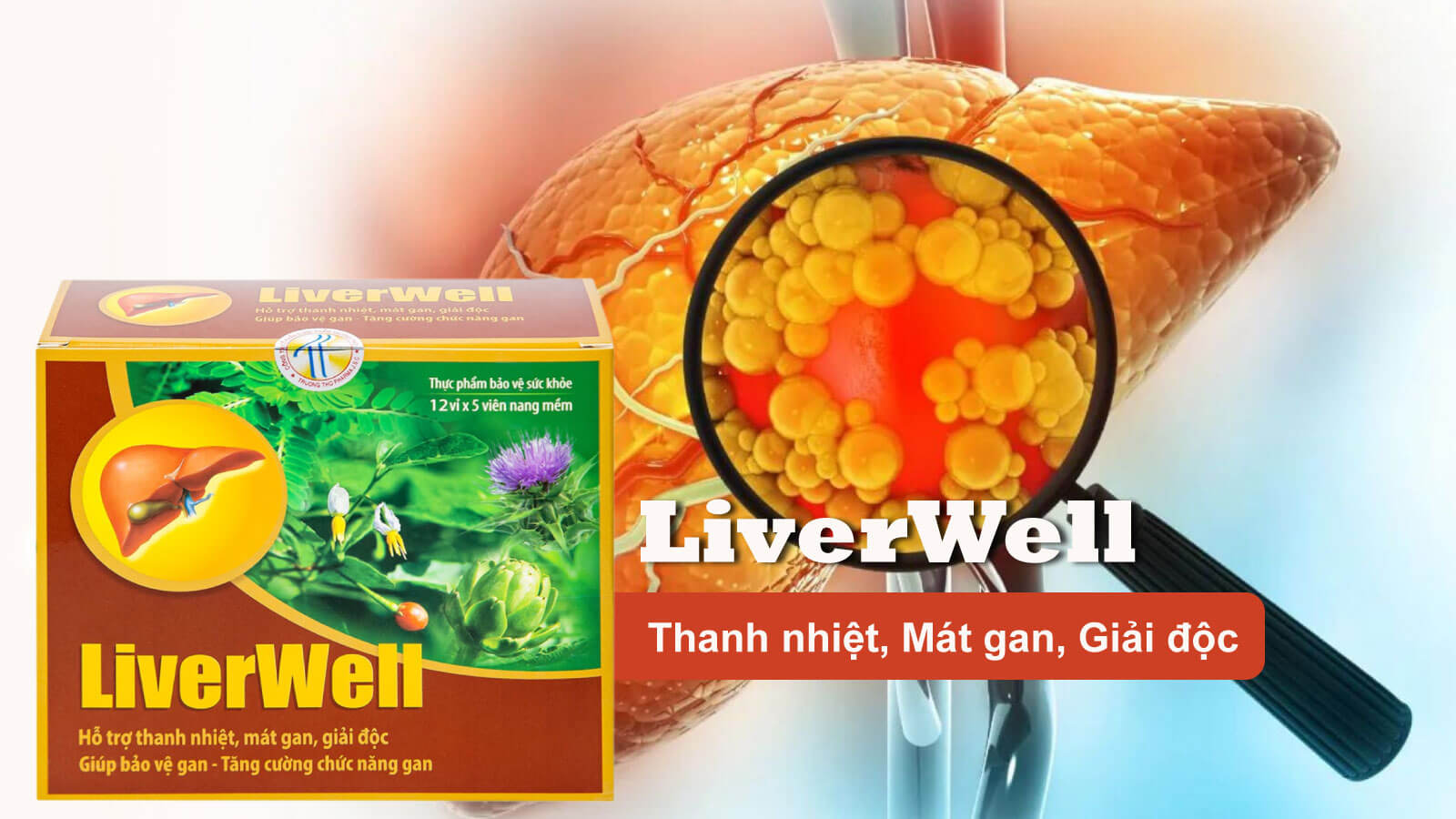 Viên uống Diệp hạ châu LiverWell