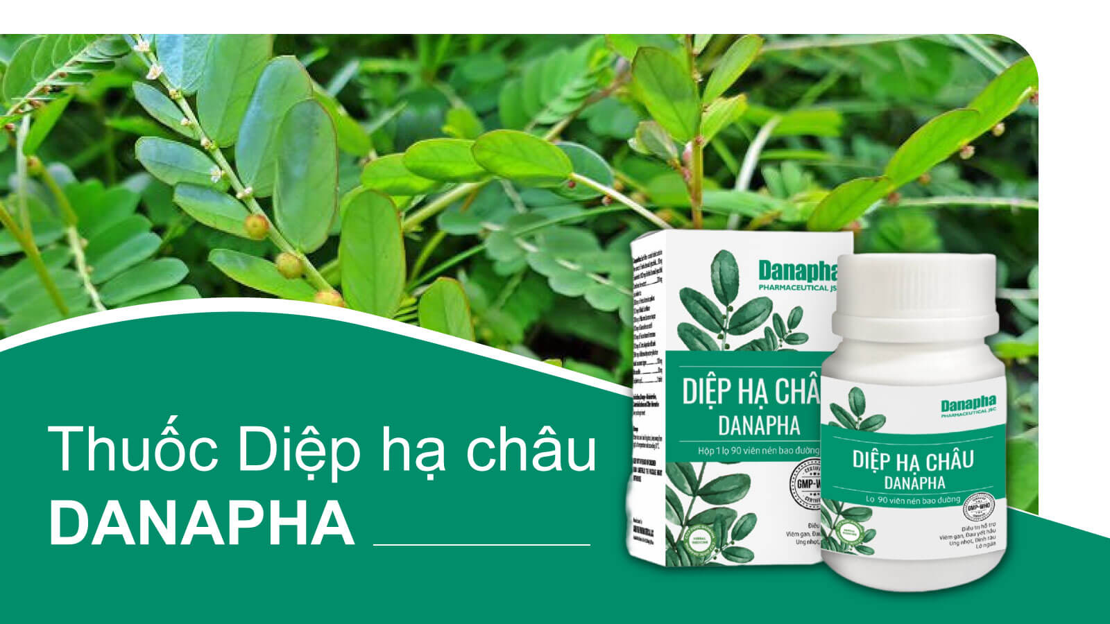 Sản phẩm Viên uống Diệp hạ châu Danapha