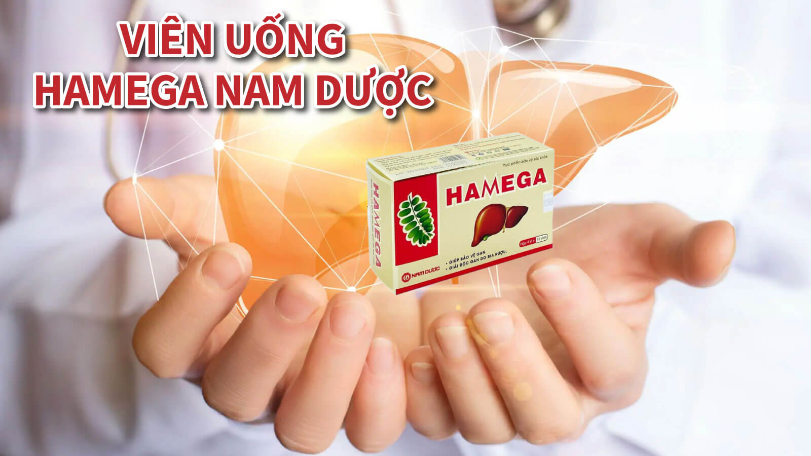 Thực phẩm chức năng Diệp hạ châu Hamega