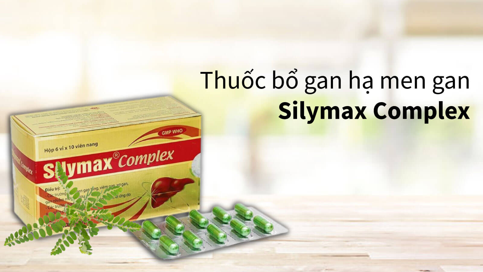 Thuốc Diệp hạ châu Silymax Complex