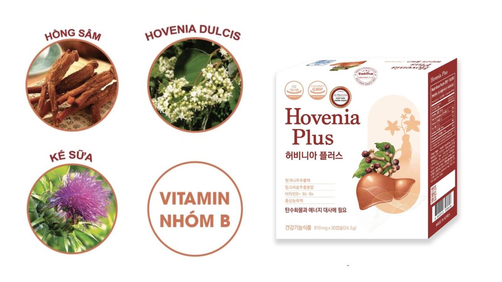 Hovina Plus có thành phần chính là cây Hovenia Dulcis Hàn Quốc