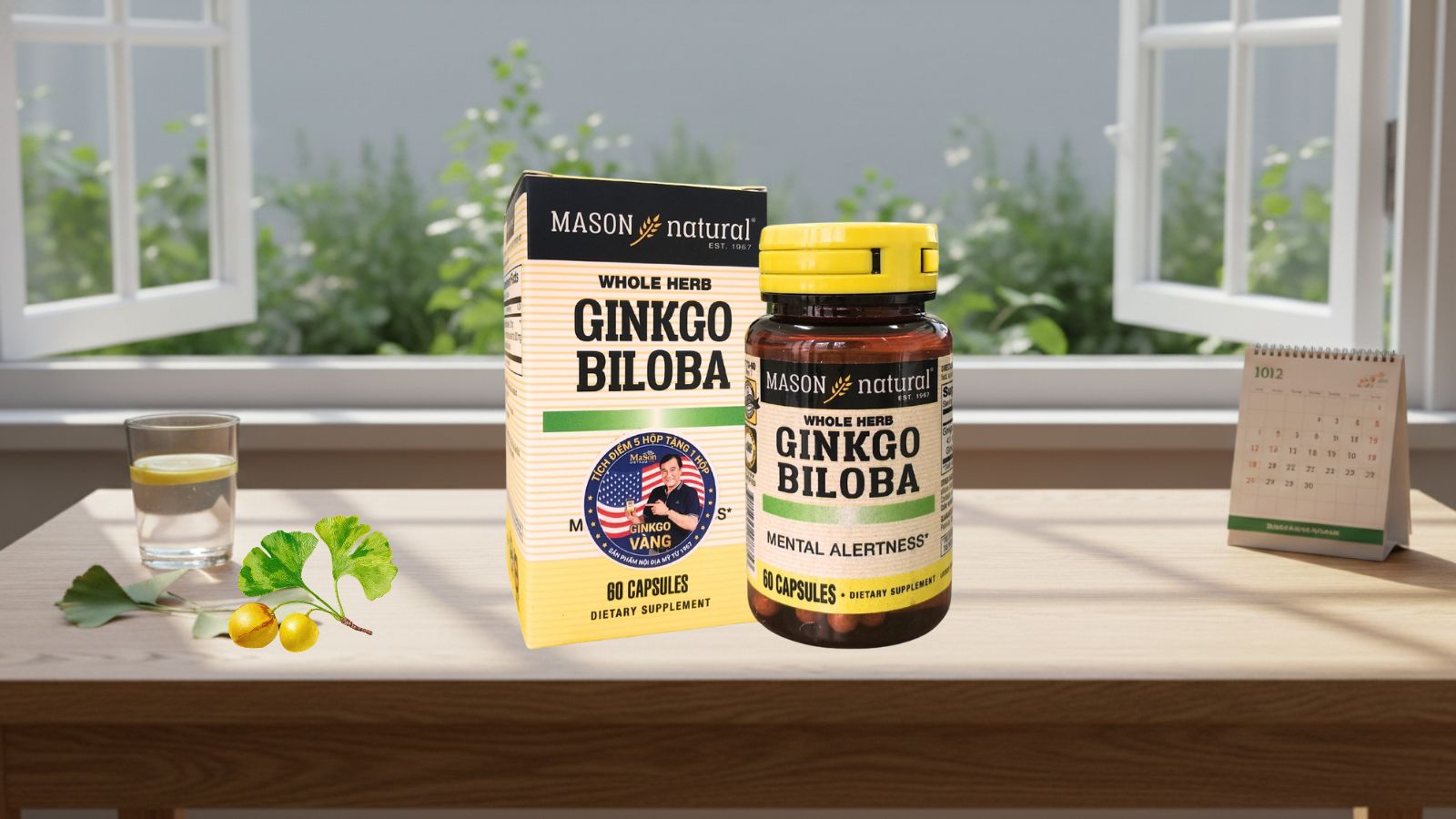 Mason Natural Ginkgo Biloba