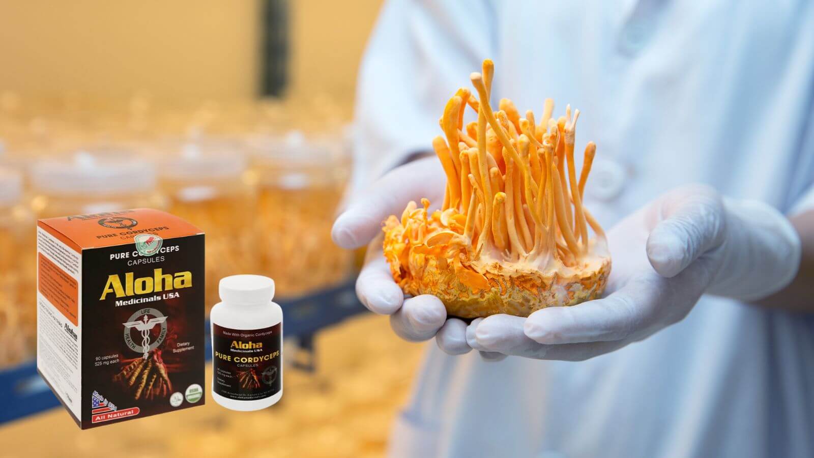 Aloha Pure Cordyceps giúp tăng cường sinh lý phái mạnh