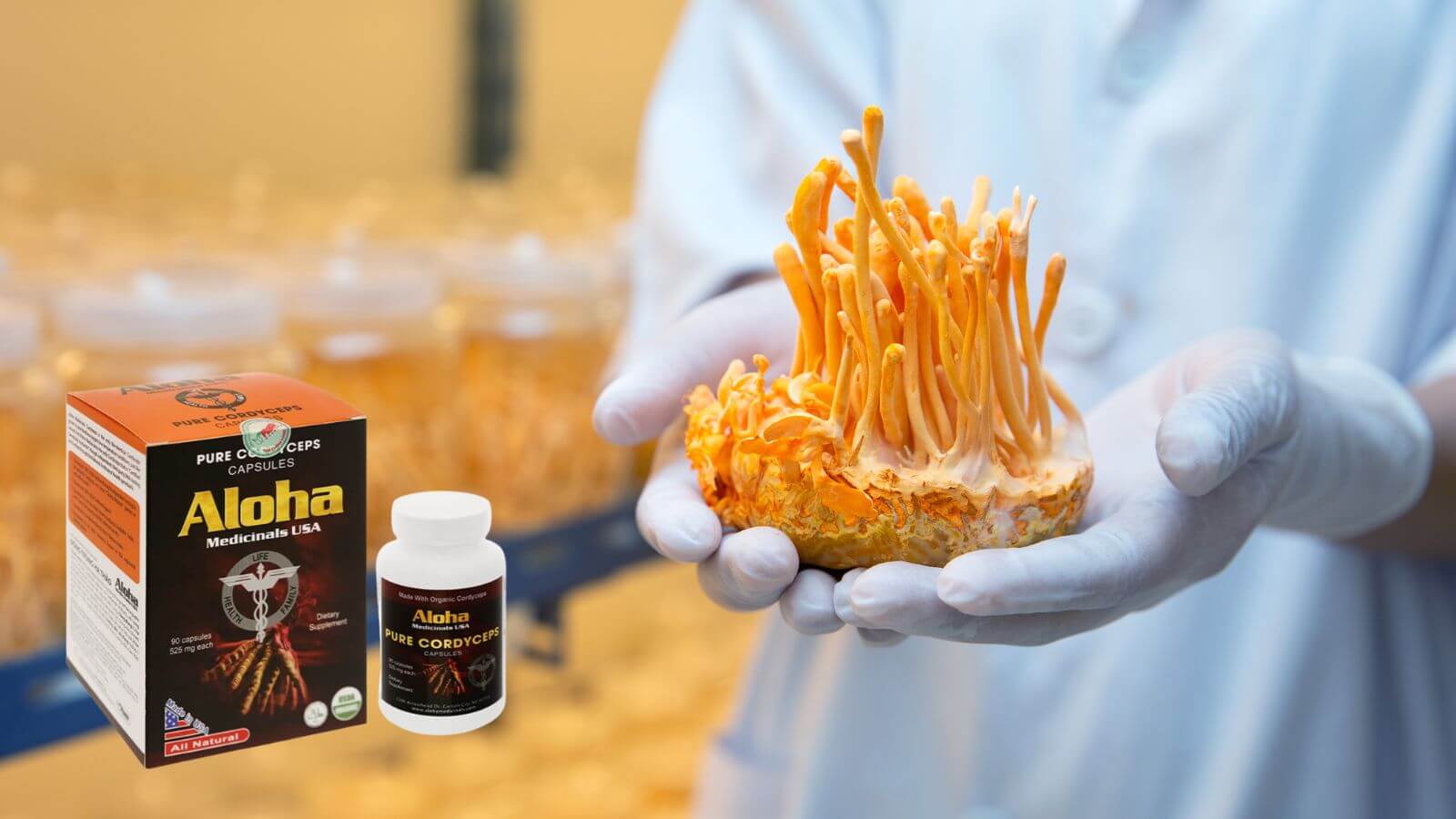 Aloha Pure Cordyceps chung tăng nhanh tâm sinh lý phái mạnh