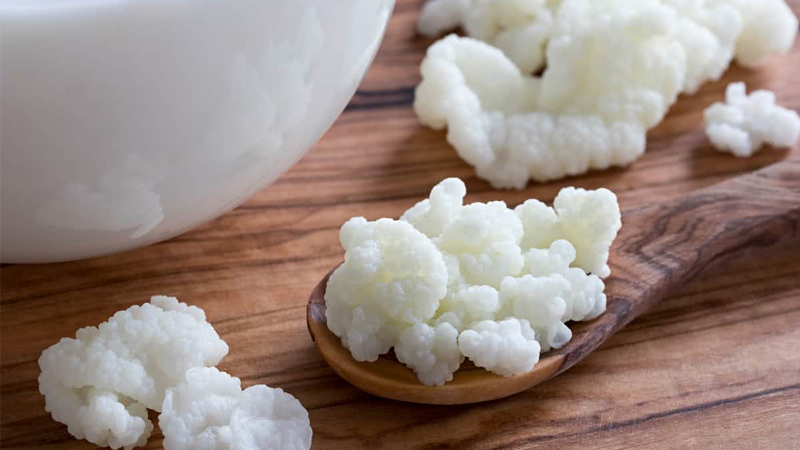 Kefir chứa nhiều lợi khuẩn giúp cân bằng đường huyết