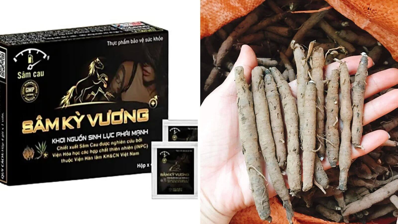 Sâm kỳ vương được bào chế từ nhiều dược liệu quý