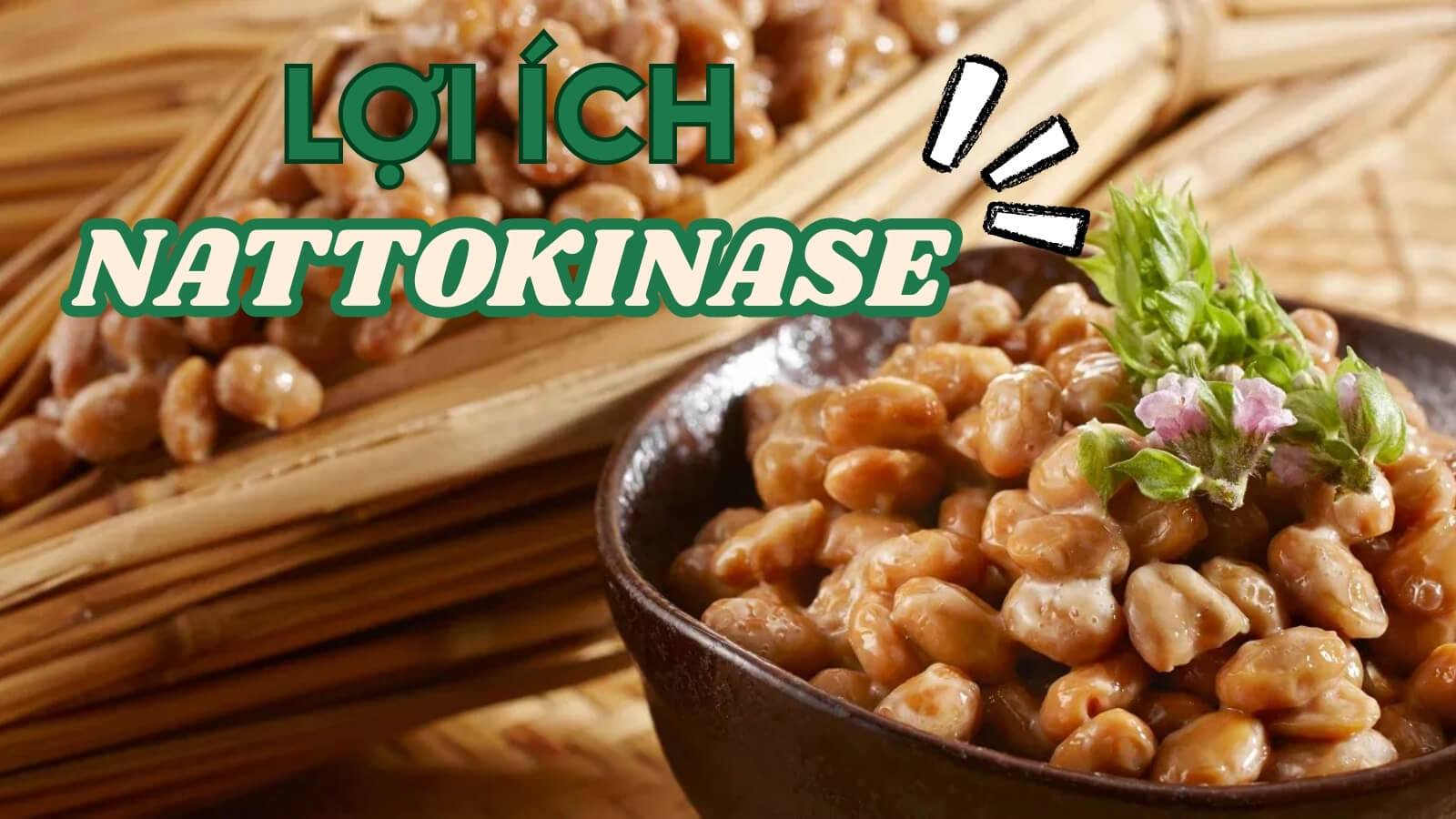 Lợi ích đối với tim mạch của Nattokinase
