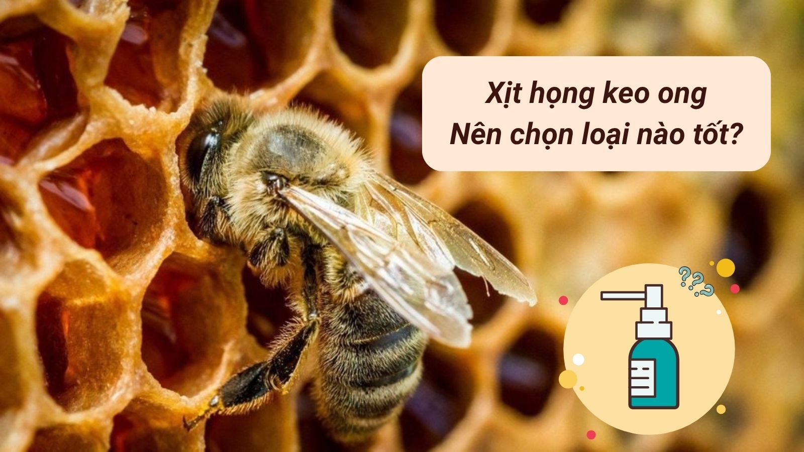Top 5 xịt họng keo ong: Dùng sao cho đúng, chọn loại nào tốt?