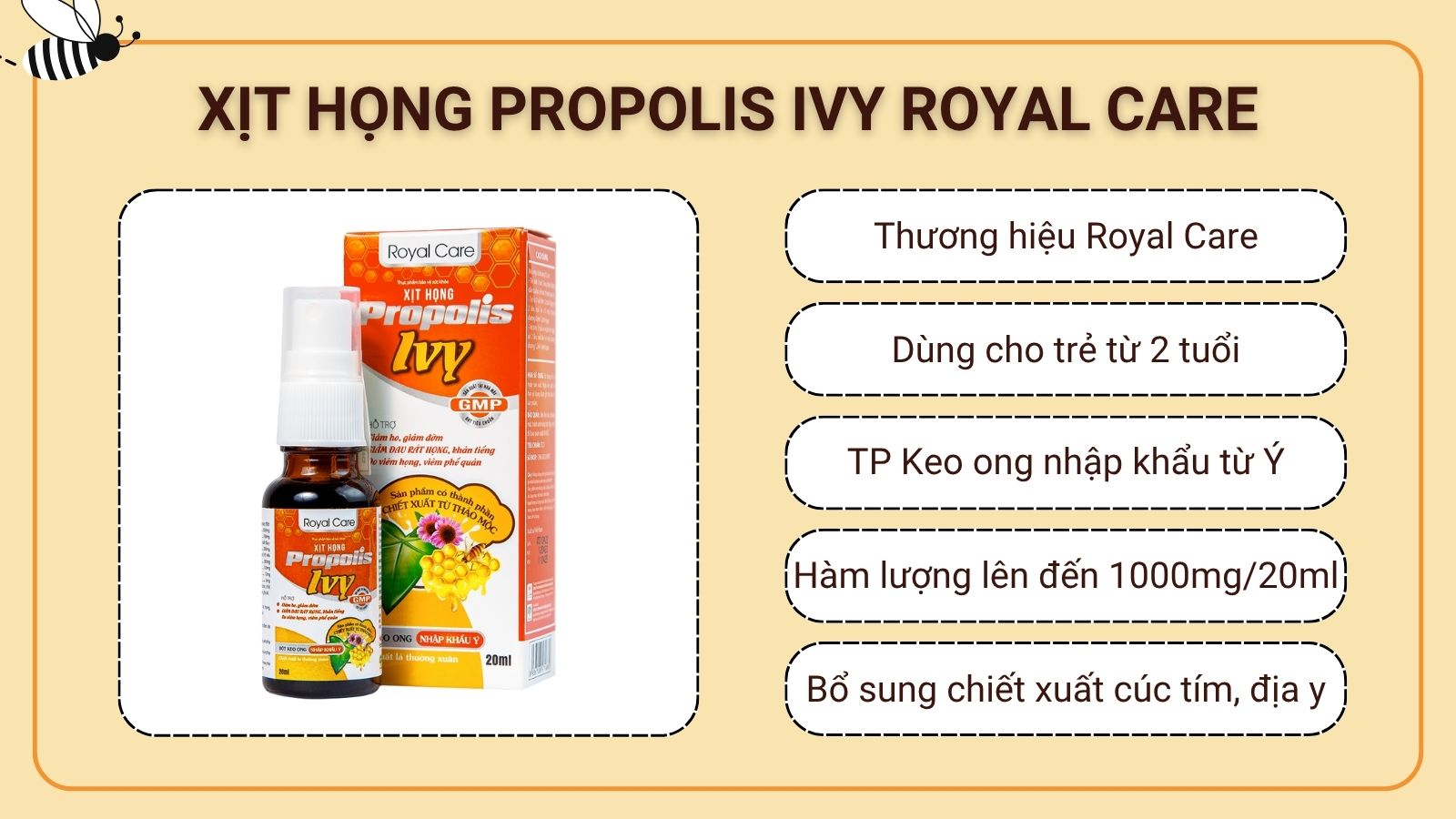 Xịt họng Propolis Ivy kết hợp keo ong và chiết xuất Cúc tím, Địa y,...