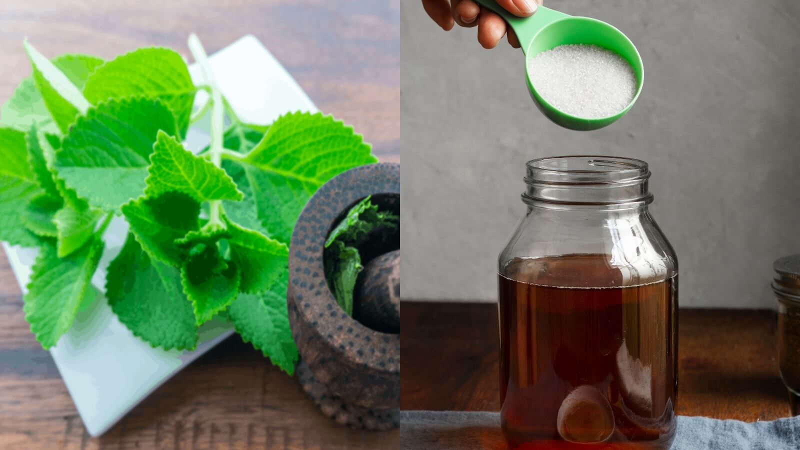 Công thức siro ho húng chanh đơn giản tại nhà