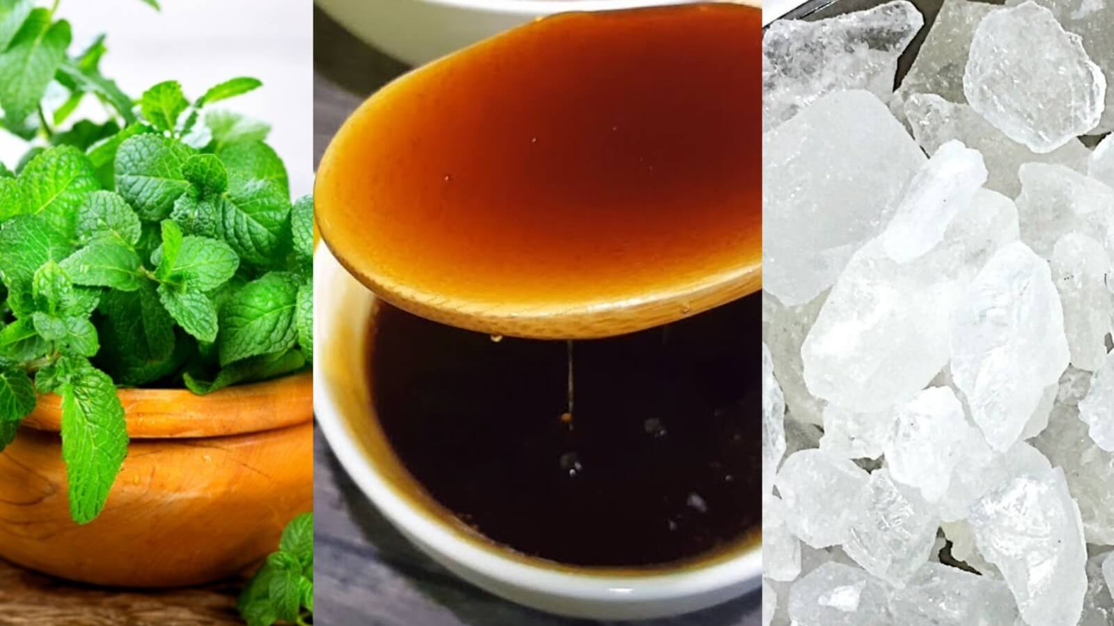 Húng chanh kết hợp với đường phèn cho ra công thức nấu siro húng chanh đường phèn ngay tại nhà