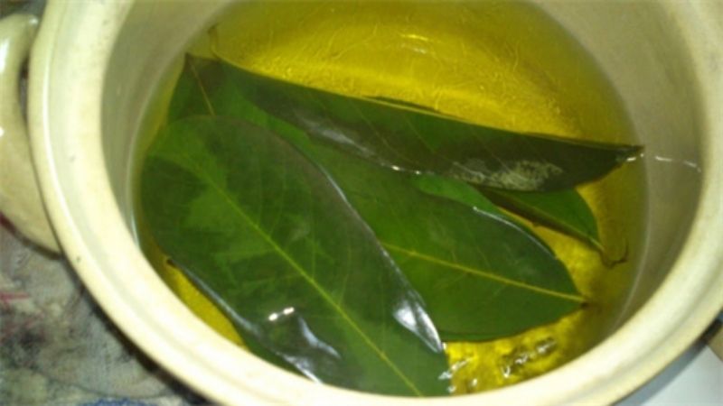 Nên kiên trì sử dụng lá xoài chữa tiểu đường mỗi ngày để đạt được hiệu quả.