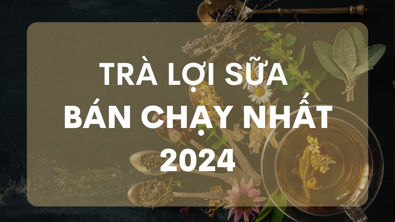 Trà lợi sữa có thực sự tốt? Top trà lợi sữa bán chạy nhất 2024