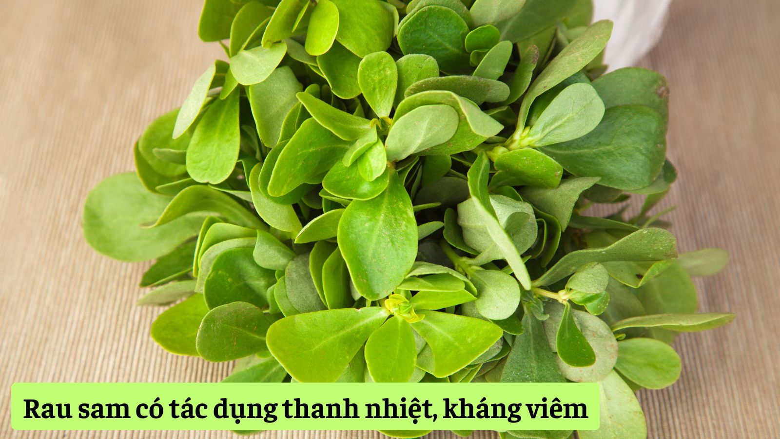 Rau sam có tác dụng thanh nhiệt, kháng viêm