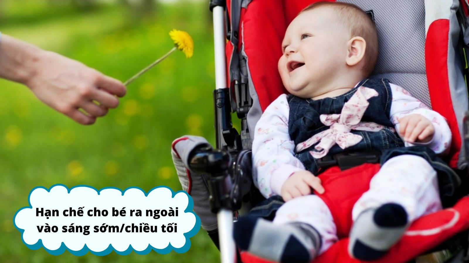 Hạn chế cho bé ra ngoài, đặc biệt vào buổi sáng sớm hoặc chiều tối