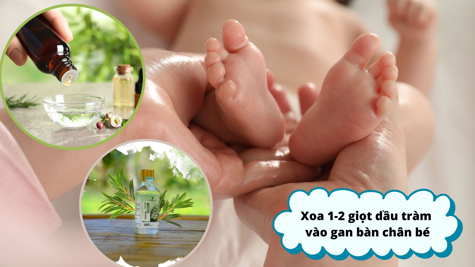 Lấy 1 – 2 giọt dầu tràm xoa vào gan bàn chân sẽ giúp giữ ấm cơ thể cho bé