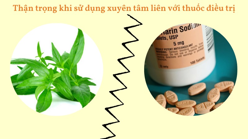 Thận trọng khi dùng xuyên tâm liên