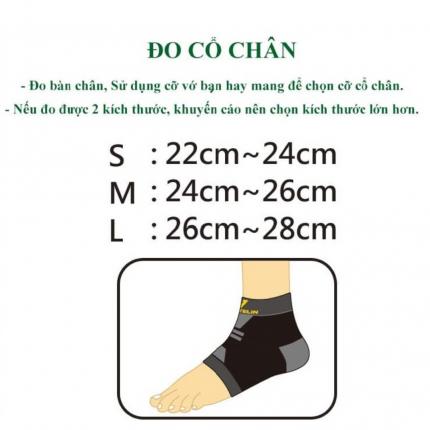 a Bó Cổ Chân Vantelin Size M Kích Thước