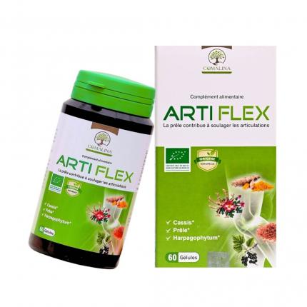 Artiflex - Hỗ trợ vận động khớp, giảm đau khớp