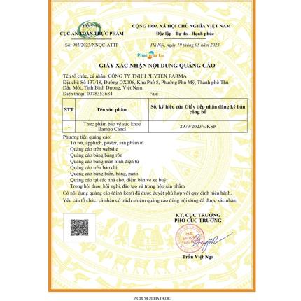 Bambo Canci PHYTEX FARMA (2)