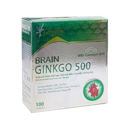 Brain Ginkgo 500