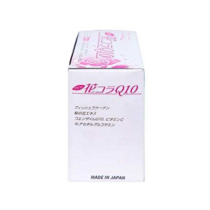 Collagen jpanwell Hana Colla Q10