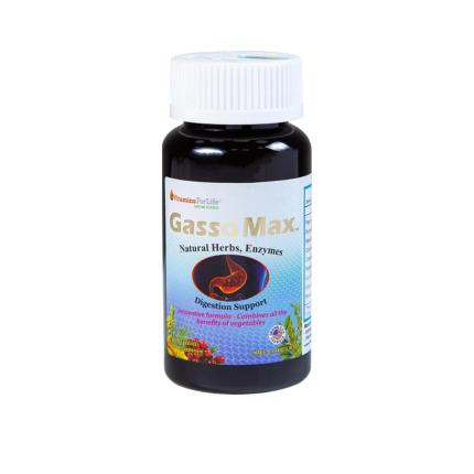 Gasso Max (2)