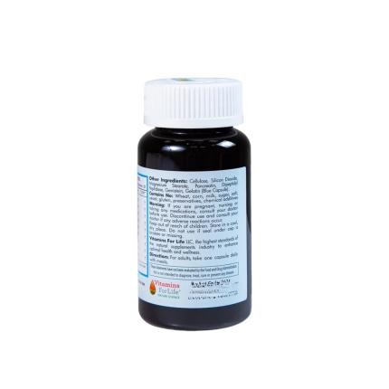 Gasso Max (4)